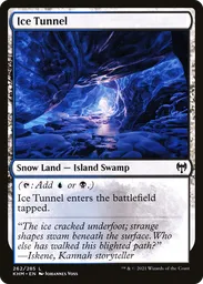 snow mtg cards Amazon.com: Magic The Gathering - Snow Hound main image 1