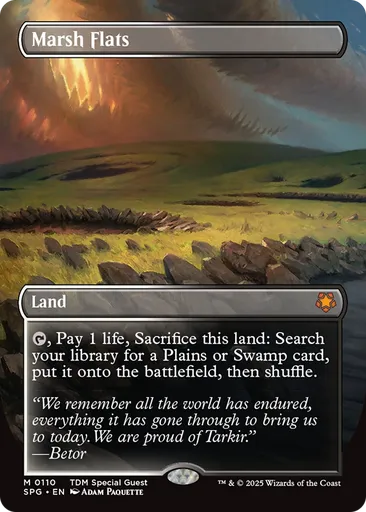 湿(しっ)地(ち)の干(ひ)潟(がた) - - MTG - Untapped.gg