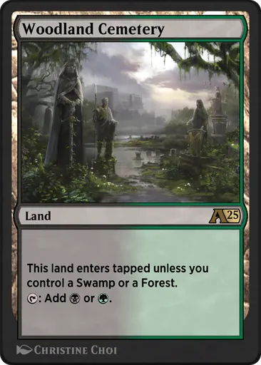 mtg card that makes all lands forests Amazon.com: Proxy Cards for Magic The Gathering, Alternative Custom Art DIY  Cards, Neo Mosaic Basics, Normal : Toys & Games main image 1